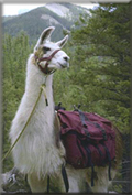 Taos Hiking and Camping