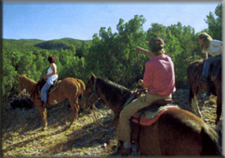 Taos Horseback Riding